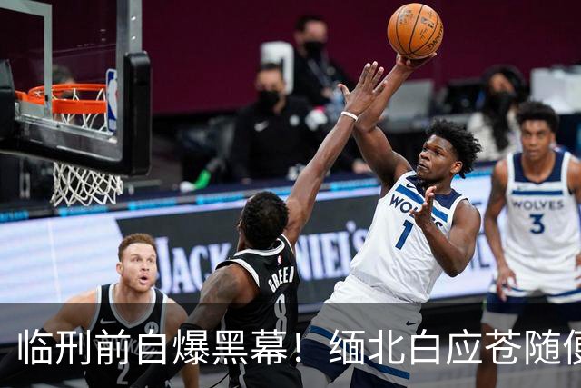 临刑前自爆黑幕！缅北白应苍随便圈钱十几亿，奢靡生活超乎想象