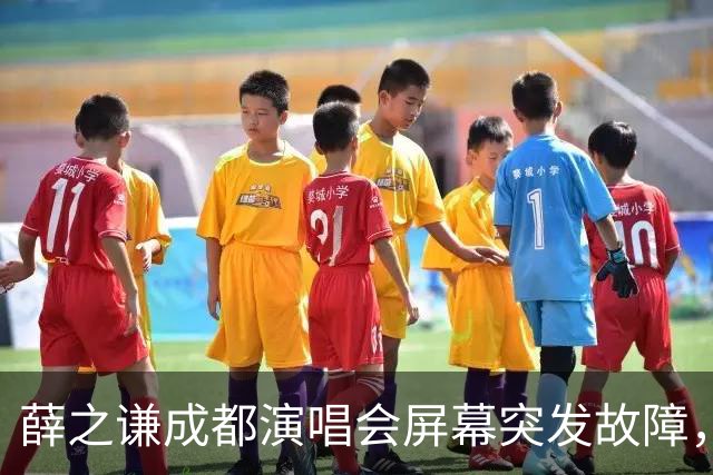 薛之谦成都演唱会屏幕突发故障，当场叫停演出等待抢修，喊话团队别有下次了