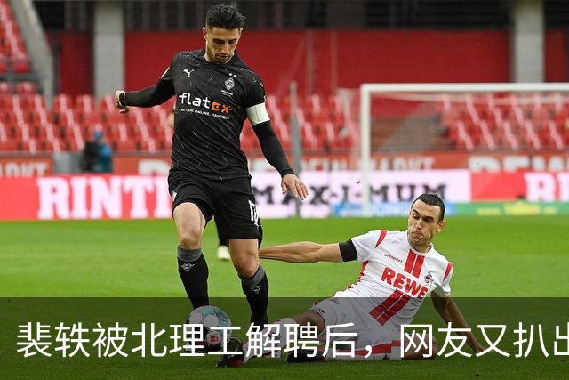 裴轶被北理工解聘后，网友又扒出她老公疑似违规兼职，涉事院校被网友点名催查